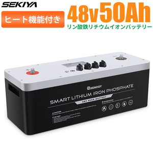 【ヒート機能】リン酸鉄リチウムイオンバッテリー 48V 50AH 2400WH 低温時安定 最先端BMS 保護機能 4500サイクル寿命 安全 SEKIYA