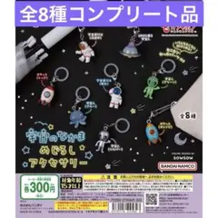 宇宙のなかま　めじるしアクセサリー 全8種コンプリート品