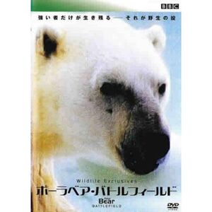 Polar Bear Battlefield ポーラベア・バトルフィールド レンタル落ち