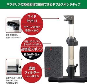 GEX BBフィルター ダブル 2WAYスポンジフィルター 　　　底面フィルターとしても使えます　　　　送料全国一律　390円