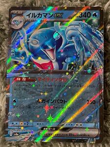 【同梱可能】　ポケモンカード　テラスタルフェスex イルカマンex RR 