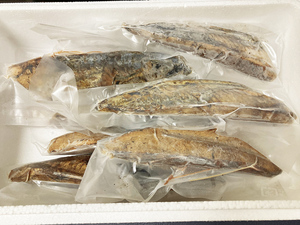 【強】藁焼き かつおたたき 3kg 1.5上 業務用 カツオ 鰹 お刺身 お寿司 藁 わら焼き わら 【水産フーズ】