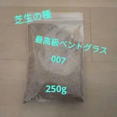 芝生の種 007 ダブルオーセブン 種   250g