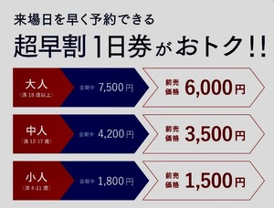 大阪万博2025中人チケット1枚