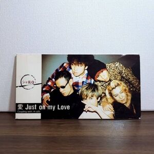 愛 JUST ON MY LOVE ／ シャ乱Q （BVDR11010）