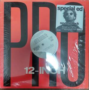 special ed/neva go back 12インチシングル アナログレコード