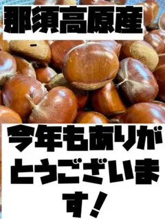 NO.9　 即配送４KG❣️毎年売り切れL〜２Lサイズ！那須高原産山栗　栗