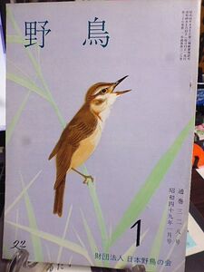 野鳥 328号　今月の鳥・イスカ　越夏したクロガモ等の群れ　電線に止まる鳥　自然破壊を招く観光自動車道路　ハクチョウ類とツクシガモ　