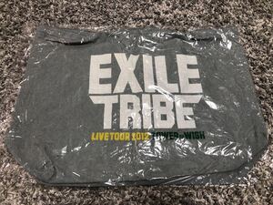 2012 EXILE TRIBE