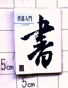 【カラーブックス】255　天石東村　『書道入門』　昭和47年刊　生活と書　現代の書　書の古典について　理論編　実技編　炭山南木に師事