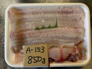 【和歌山・大阪・徳島産】 　活け〆鱧　（調理前　850g）　冷凍 　A-153
