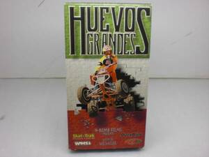 ＨＵＥＶＯＳ　ＧＲ　ＡＮＤＥＳ　　バギーＶＴＲ