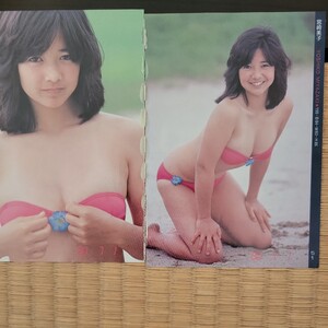 宮崎美子　文庫サイズ切り抜き3ページ　水着　