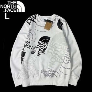 1円～!売切!【正規新品】THE NORTH FACE◆GRAPHIC INJECTION CREW プルオーバー トレーナー US限定 レア グラフィック 登山(L)白 181130-28