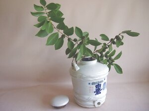 昭和レトロ 白鷹 樽瓶28ｃｍ 黒塗り蒔絵花器付 高島屋酒店 長崎南町 貯蔵瓶 酒貯蔵 醤油樽瓶