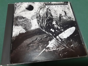 David Sylvian　デヴィッド・シルヴィアン◆『シークレット・オブ・ザ・ビーハイブ』日本盤CDユーズド品