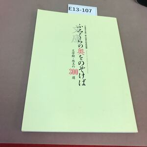 E13-107 ふみくらの奥をのぞけば 北海道立文学館