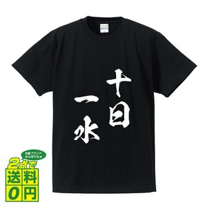 十日一水 ( じゅうじついっすい ) 書道家が書く デザイン Tシャツ 【 四文字熟語 】 メンズ レディース キッズ