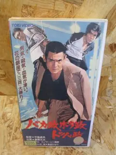 バカ政・ホラ政・トッパ政 [VHS] 菅原文太 (出演),