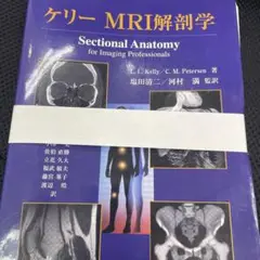 ケリーMRI解剖学