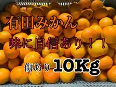 有田みかん 10kg 生傷あり サイズ混合