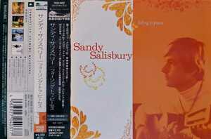 Y2-5【即決/帯付】サンディ・サリスベリー / フォーリング・トゥ・ピーセス / YDCD0037 / 4988927040377 / Sandy Salisbury