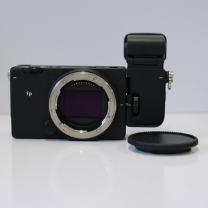 SIGMA fp L EVF-11 ファインダーキット USED超美品 フルサイズ ミラーレス一眼 カメラ 6100万画素 ライカLマウント 完動品 中古 CP8303