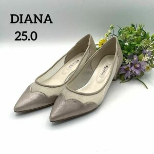 ダイアナ　25.0 パンプス　レース　ポインテッドトゥ　ゴールド　レザー　DIANA 　シャンパンゴールド　ベージュ