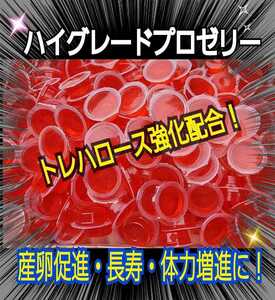 特選　昆虫ゼリー【100個】クワガタゼリー　カブトムシゼリー　産卵促進、長寿効果抜群！トレハロース強化配合！　食べやすいワイドカップ