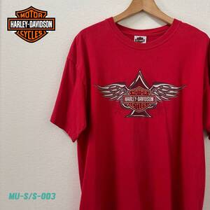 HARLEY-DAVIDSON ハーレーTシャツ　Lサイズ　ROANOKE VALLEY ヘインズT