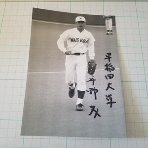 早稲田大学野球部 未公開？平野茂 直筆サイン 写真 (検)六大学野球 高校野球 甲子園 ブロマイド サインカード BBM 