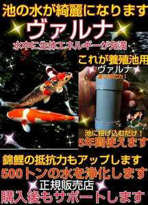 錦鯉の病気がなくなります【ヴァルナ池用】病原菌や感染症など有害物質を強力抑制！透明度が抜群に！池に入れるだけで５００トン浄化します