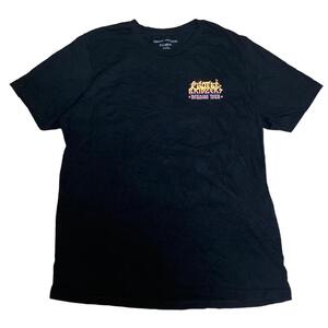 USA製 フィービー・ブリジャーズ 半袖バンドTシャツ ツアー バンT z20 XL相当