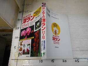 はじめての洋ラン１２ヵ月　毎年美しい花を咲かせるテクニック　栽培の手順がよくわかる１３６種　成美堂出版