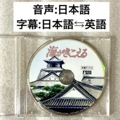 【未使用】 本編DVD『海がきこえる』リマスター版 ジブリ 望月智充/氷室冴子