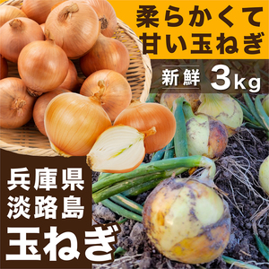 家庭料理に最適！淡路島産甘くて美味しい玉ねぎ逸品3kg