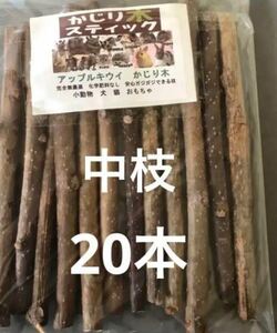 完全無農薬　アップルキウイのかじり木　中枝　0.8ｃｍ前後　ロング２０ｃｍ２０本