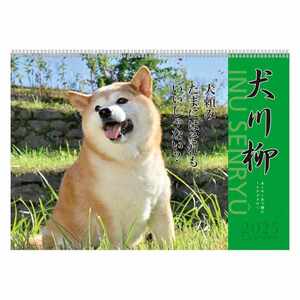 壁掛けカレンダー2025年 犬川柳 2025Calendar いぬ APJ スケジュール