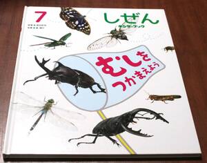 ★33★しぜん　キンダーブック　2021年７月号　むしをつかまえよう　フレーベル館★