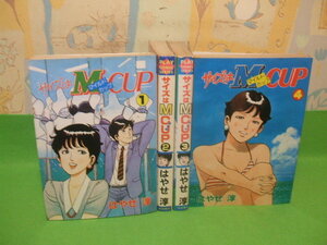 ☆☆☆サイズはMーcup ☆☆全4巻　昭和60年発行　はやせ 淳　プレイボーイコミックス　秋田書店