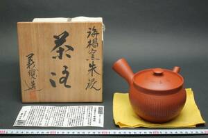 5806 新品 緻密精巧 未使用品 常滑焼 名工 朱泥 井上義叟 海椙窯 志津刀 細字彫 煎茶道具 急須 茶注 黄布 共箱 