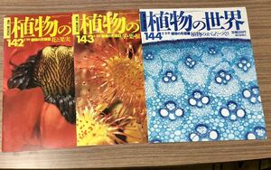 植物の世界 3冊セット 植物の形態142花と果実　143茎、葉、根　144植物のからだつくり週刊朝日百科）朝日新聞社