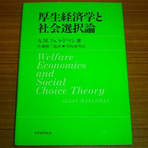 厚生経済学と社会選択論 アラン・M・フェルドマン