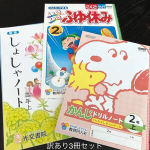 3374 いきいき冬休み 書写 2年 国語 算数 小学 ドリル 問題集 テキスト 家庭学習 計算 漢字 ワーク 訳あり まとめ売り ペン 習字