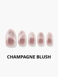 フィンガースーツ　ネイルチップ　CHAMPAGNE BLUSH