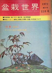 盆栽世界　1972年11月号　第31号　昭和47年　アメリカに於ける盆栽と裁景 　樹石社　YB230712S1