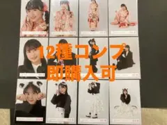 村井優　櫻坂46 振袖　年末衣装　いぬみみ　生写真　12種コンプ