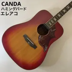 CANDA アコースティックギター ハミングバード エレアコ