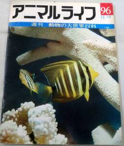 古書◆雑誌◆S47年 週刊アニマルライフ第９６号 ◆ ヒレナガハギ★ナメクジウオ★ナメラ★ナンキョクアザラシ★ニアラ★ニオガイ★