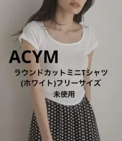 【未使用】ACYM  Tシャツ(フリーサイズ)